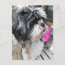 Suche nach watts postkarten Watte