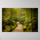Suche nach fußweg poster Farn