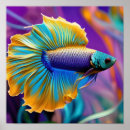 Suche nach siamesisch poster Fisch