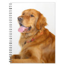 Suche nach golden retriever kleine notizbücher Foto