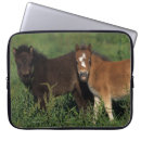 Suche nach fohlen laptop schutzhüllen Miniatur