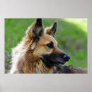 Suche nach german kunst Gsd