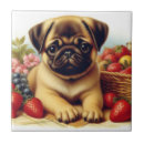 Suche nach niedlicher mops fliesen Niedliche hunde