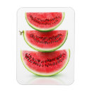 Suche nach wassermelone magnete Obst