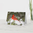 Suche nach winterzeit karten Vogel