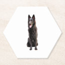 Suche nach german untersetzer Hunde