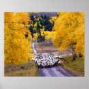 Suche nach country western poster Ranch