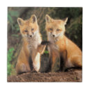 Suche nach welpen fliesen Niedliche tiere