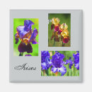 Suche nach iris blume magnete Sommer