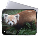 Suche nach panda laptop schutzhüllen Fotografie