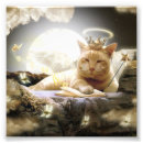 Suche nach katze und engel poster Katzen