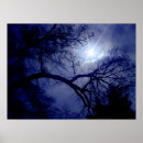 Suche nach baum silhouette poster Schwarz
