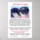 Suche nach tierheim poster Tierrettung