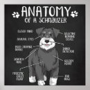 Suche nach love animals poster Dogs