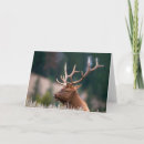 Suche nach yellowstone nationalpark karten Geweihe
