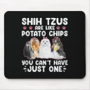 Suche nach shih tzus Spaß