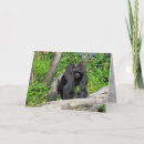 Suche nach primates karten Fotografie