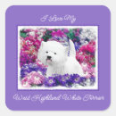 Suche nach west highland white terrier aufkleber Weiß