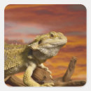 Suche nach kaltblütig aufkleber Tier