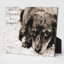 Suche nach dackel fotoplatten Haustier