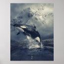 Suche nach killer whale poster Tiere