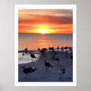 Suche nach seeschwalbe poster Strand