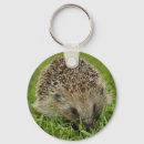 Suche nach niedlicher igel schlüsselanhänger Wild