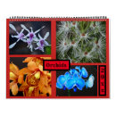 Suche nach orchidee kalender Exotisch