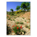 Suche nach scheuen postkarten Scheuern sie sich