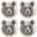 Suche nach grizzlybären aufkleber Natur
