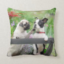 Suche nach boston kissen Glücklich