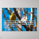 Suche nach luke poster Schrift