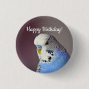 Suche nach parakeet buttons Budgie
