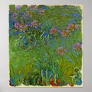 Suche nach agapanthus poster Monet