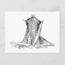 Suche nach sternum poster Anatomisch