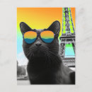 Suche nach schwarze sonnenbrille postkarten Einzigartig