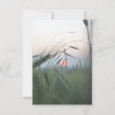 Suche nach kornfeld Sonnenuntergang
