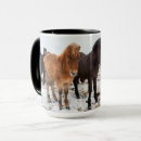 Suche nach isländische pferde tassen Eisland