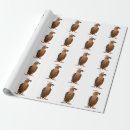 Suche nach geier geschenkpapier Raubvogel
