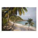 Suche nach reise und tourismus poster Tropisch