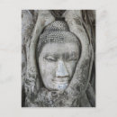 Suche nach buddha kopf postkarten Baum