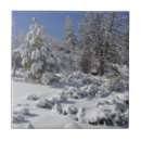 Suche nach landschaft foto fliesen Schnee