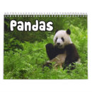 Suche nach panda kalender Bär