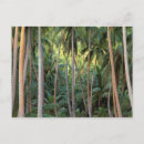 Suche nach bora bora postkarten Insel