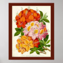 Suche nach joseph poster Blume