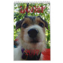 Suche nach terrier kalender Jack