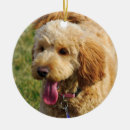 Suche nach entzückend ornamente Golden retriever