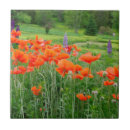 Suche nach gras fliesen Wald