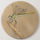 Suche nach insekten buttons Käfer