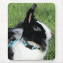 Suche nach weißes kaninchen mousepads Haustier